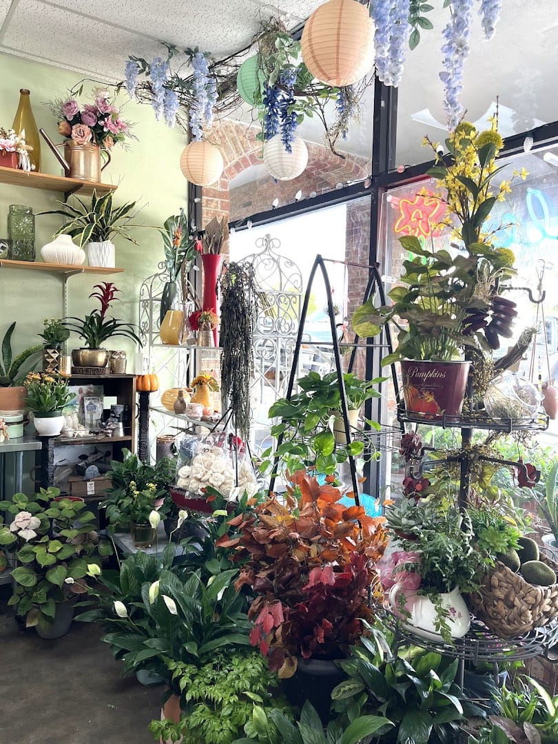 Potted houseplants and floral decor arranged near the shop window