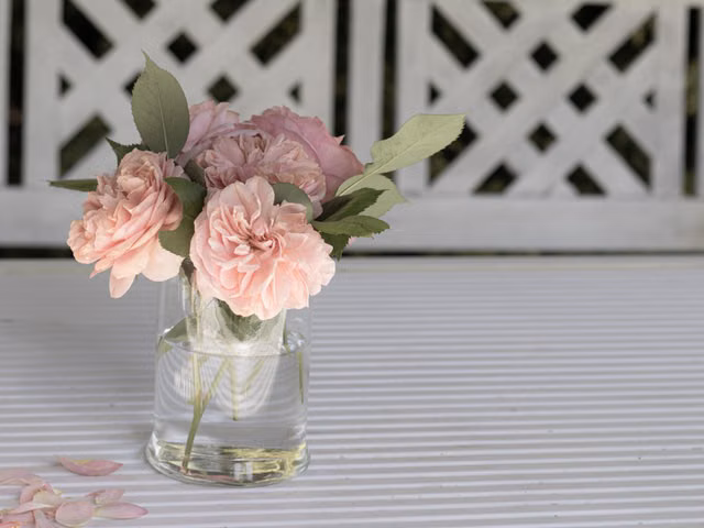 A beautiful bouquet of pink roses in a glass vase on a white table, perfect for garden decor.