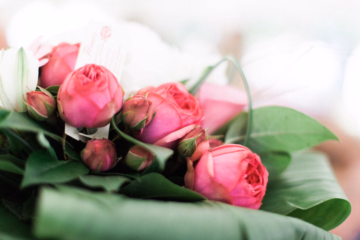 Close-up of a vibrant pink rose bouquet with lush green leaves, perfect for romantic occasions.